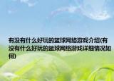 有没有什么好玩的篮球网络游戏介绍(有没有什么好玩的篮球网络游戏详细情况如何)