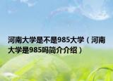 河南大学是不是985大学（河南大学是985吗简介介绍）