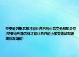 圣安地列斯怎样才能让自己的小弟变无敌呢介绍(圣安地列斯怎样才能让自己的小弟变无敌呢详细情况如何)