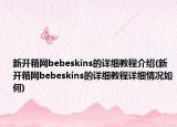 新开箱网bebeskins的详细教程介绍(新开箱网bebeskins的详细教程详细情况如何)