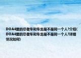DOA4里的忍者隼和隼龙是不是同一个人?介绍(DOA4里的忍者隼和隼龙是不是同一个人?详细情况如何)
