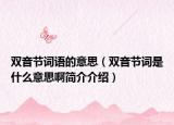 双音节词语的意思（双音节词是什么意思啊简介介绍）
