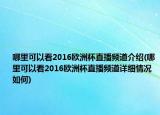 哪里可以看2016欧洲杯直播频道介绍(哪里可以看2016欧洲杯直播频道详细情况如何)