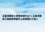 正是河豚欲上时意思是什么?（正是河豚欲上时的意思是什么意思简介介绍）