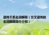遗传干系名词解释（交叉遗传的名词解释简介介绍）