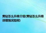 黄钻怎么升级介绍(黄钻怎么升级详细情况如何)