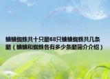 蛐蛐蜘蛛共十只腿68只蛐蛐蜘蛛共几条腿（蛐蛐和蜘蛛各有多少条腿简介介绍）