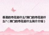 香港的市花是什么?澳门的市花是什么?（澳门的市花是什么简介介绍）