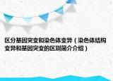 区分基因突变和染色体变异（染色体结构变异和基因突变的区别简介介绍）