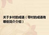 关于乡村的成语（带村的成语有哪些简介介绍）