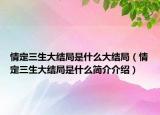 情定三生大结局是什么大结局（情定三生大结局是什么简介介绍）