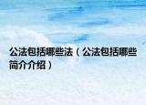 公法包括哪些法（公法包括哪些简介介绍）