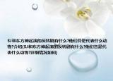 SJ和东方神起演的反转剧有什么?他们各是代表什么动物?介绍(SJ和东方神起演的反转剧有什么?他们各是代表什么动物?详细情况如何)