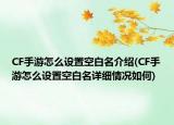CF手游怎么设置空白名介绍(CF手游怎么设置空白名详细情况如何)