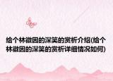 给个林徽因的深笑的赏析介绍(给个林徽因的深笑的赏析详细情况如何)