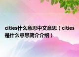 cities什么意思中文意思（cities是什么意思简介介绍）