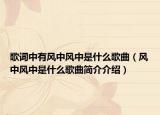 歌词中有风中风中是什么歌曲（风中风中是什么歌曲简介介绍）