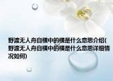 野渡无人舟自横中的横是什么意思介绍(野渡无人舟自横中的横是什么意思详细情况如何)
