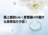 猫上面的Los（家里猫LOS是什么意思简介介绍）