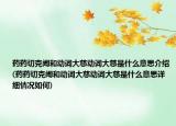 药药切克闹和动词大慈动词大慈是什么意思介绍(药药切克闹和动词大慈动词大慈是什么意思详细情况如何)