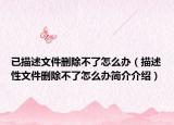 已描述文件删除不了怎么办（描述性文件删除不了怎么办简介介绍）