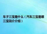 车子三宝是什么（汽车三宝是哪三宝简介介绍）