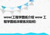 wow(工程学图纸介绍 wow 工程学图纸详细情况如何)
