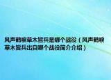 风声鹤唳草木皆兵是哪个战役（风声鹤唳草木皆兵出自哪个战役简介介绍）