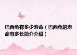 巴西龟有多少寿命（巴西龟的寿命有多长简介介绍）