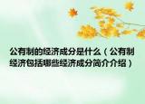 公有制的经济成分是什么（公有制经济包括哪些经济成分简介介绍）