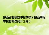 陕西省有哪些单招学校（陕西单招学校有哪些简介介绍）