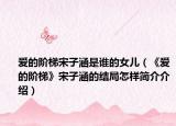 爱的阶梯宋子涵是谁的女儿（《爱的阶梯》宋子涵的结局怎样简介介绍）