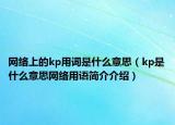 网络上的kp用词是什么意思（kp是什么意思网络用语简介介绍）