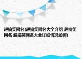 超搞笑网名(超搞笑网名大全介绍 超搞笑网名 超搞笑网名大全详细情况如何)