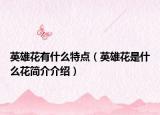英雄花有什么特点（英雄花是什么花简介介绍）