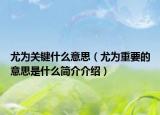 尤为关键什么意思（尤为重要的意思是什么简介介绍）