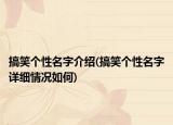 搞笑个性名字介绍(搞笑个性名字详细情况如何)