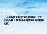 一不小心爱上你(歌词与剧情简介介绍 一不小心爱上你 歌词与剧情简介详细情况如何)