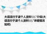 大话流行于波个人资料\