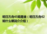 明日方舟45姐是谁（明日方舟42姐什么梗简介介绍）
