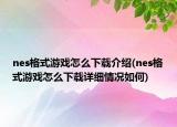 nes格式游戏怎么下载介绍(nes格式游戏怎么下载详细情况如何)