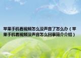 苹果手机看视频怎么没声音了怎么办（苹果手机看视频没声音怎么回事简介介绍）