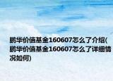 鹏华价值基金160607怎么了介绍(鹏华价值基金160607怎么了详细情况如何)