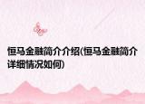 恒马金融简介介绍(恒马金融简介详细情况如何)