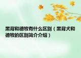 黑背和德牧有什么区别（黑背犬和德牧的区别简介介绍）