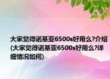 大家觉得诺基亚6500s好用么?介绍(大家觉得诺基亚6500s好用么?详细情况如何)