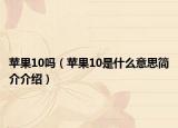 苹果10吗（苹果10是什么意思简介介绍）