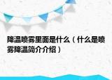 降温喷雾里面是什么（什么是喷雾降温简介介绍）
