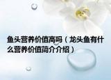 鱼头营养价值高吗（龙头鱼有什么营养价值简介介绍）