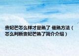 贵妃芒怎么样才是熟了 催熟方法（怎么判断贵妃芒熟了简介介绍）